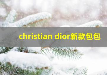 christian dior新款包包